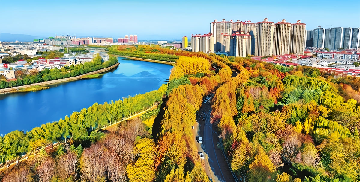 初冬亮丽风景