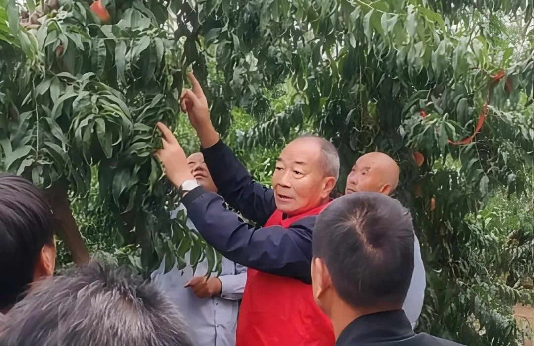 屏幕截图 2024-09-24 084345.jpg.jpg