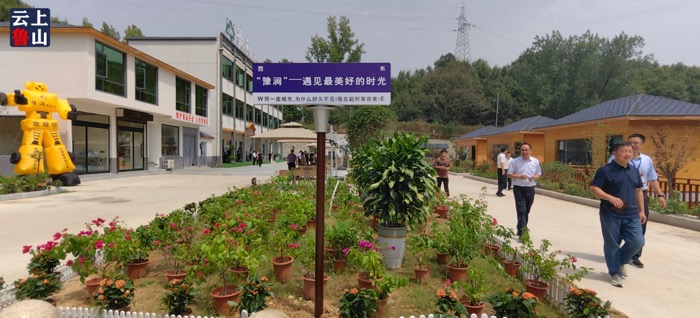 平顶山文旅文创大会代表观摩赵村民宿产业