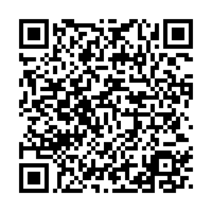 河南省营业性演出准予许可决定（410000522023000156）