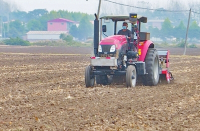 Henan's wheat sowing nearly completed