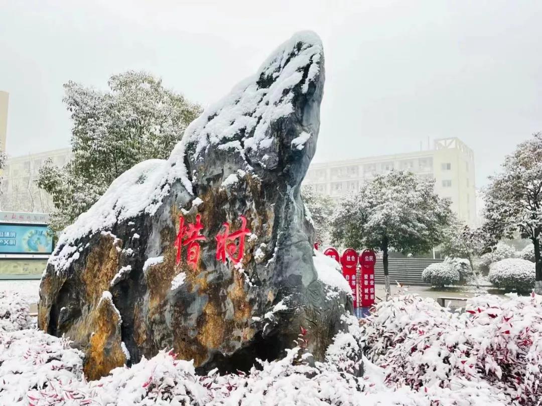 瑞雪兆丰年！你那里下雪了吗？