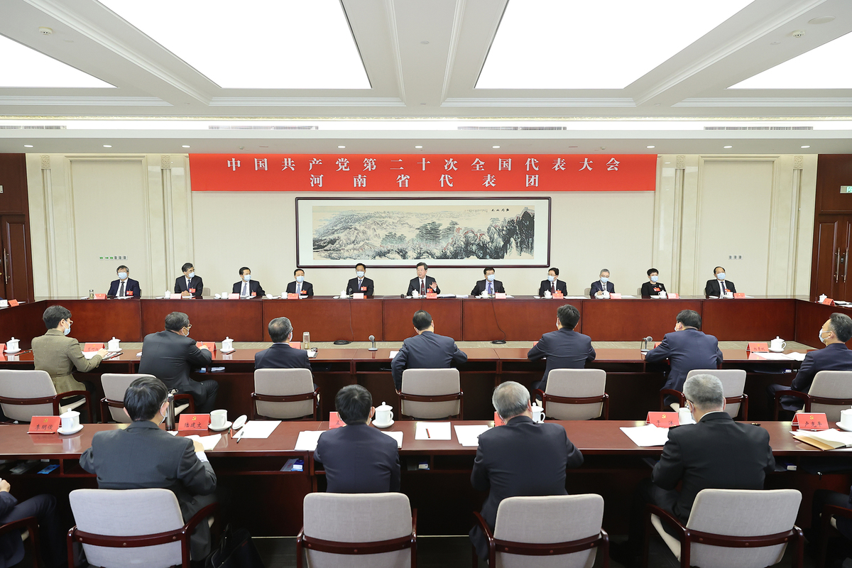 河南省代表团举行全体会议推选楼阳生为河南省代表团团长王凯周霁为副团长陈舜为秘书长
