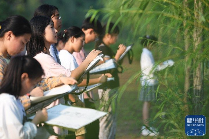 【行走河南·读懂中国】嵩县：画笔绘就伏牛山村振兴新貌
