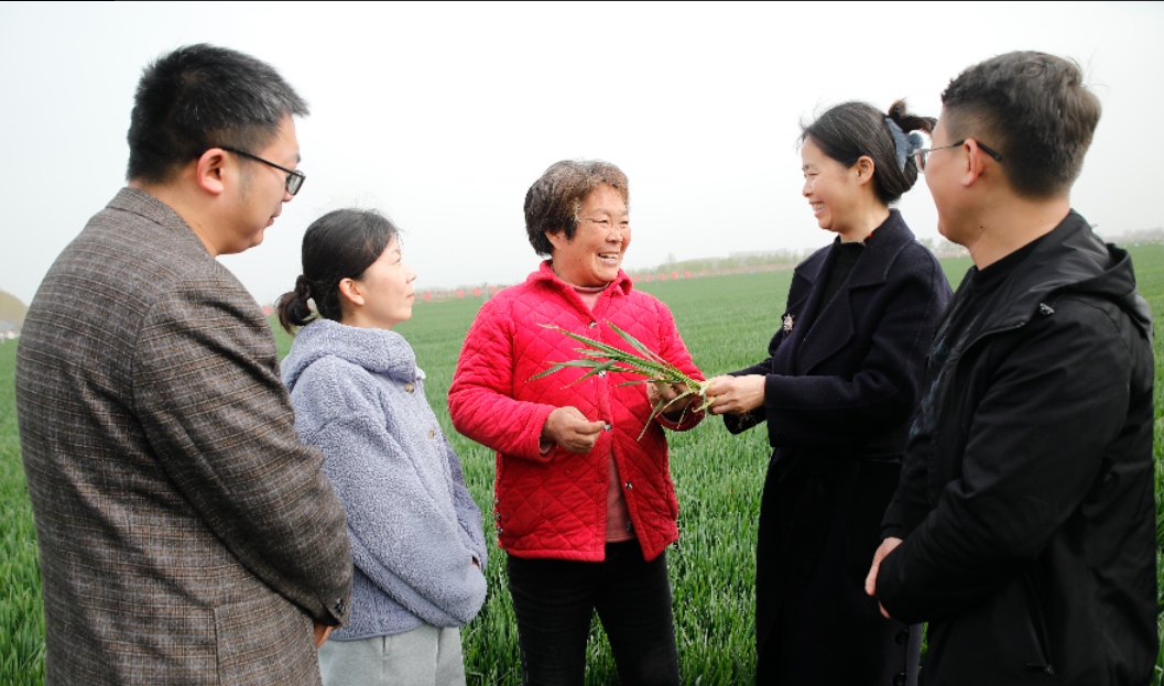 新时代 新征程 新伟业 牢记嘱托·沿着足迹看变化 开封篇丨汴梁大地展新颜