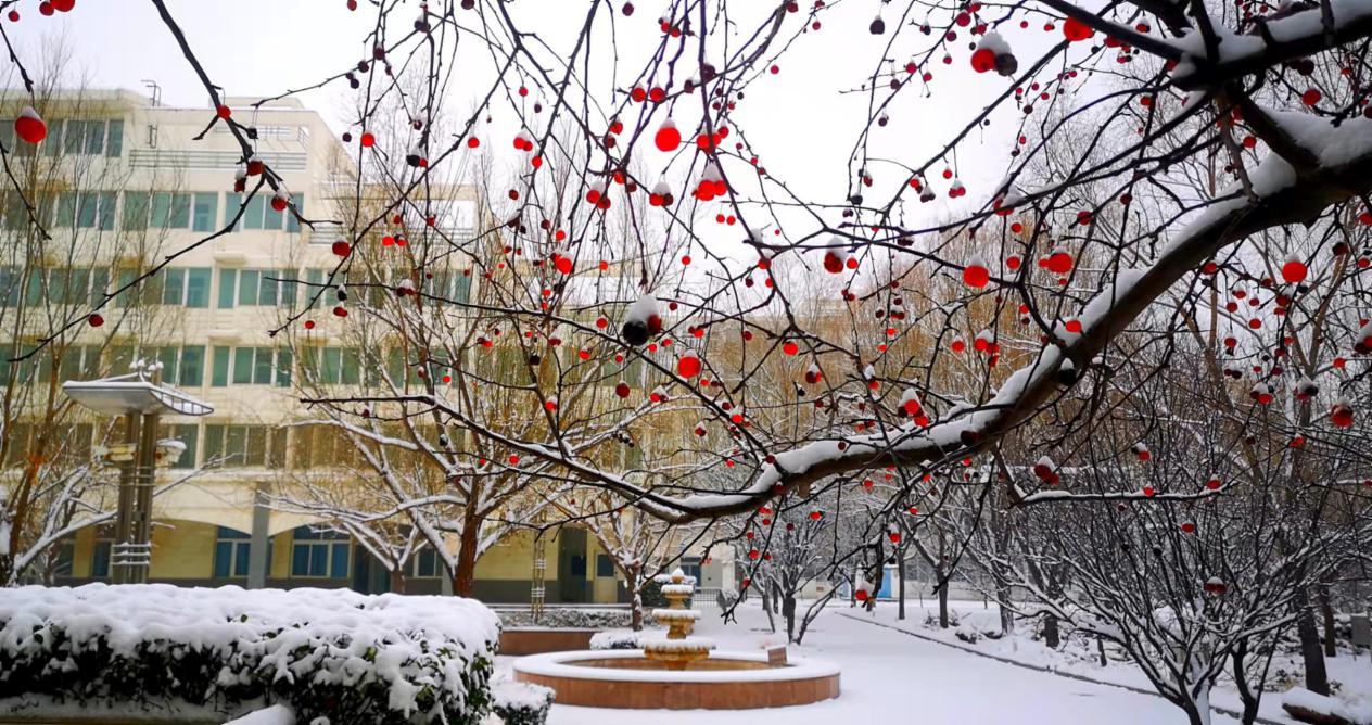 吉林工商学院雪景图片