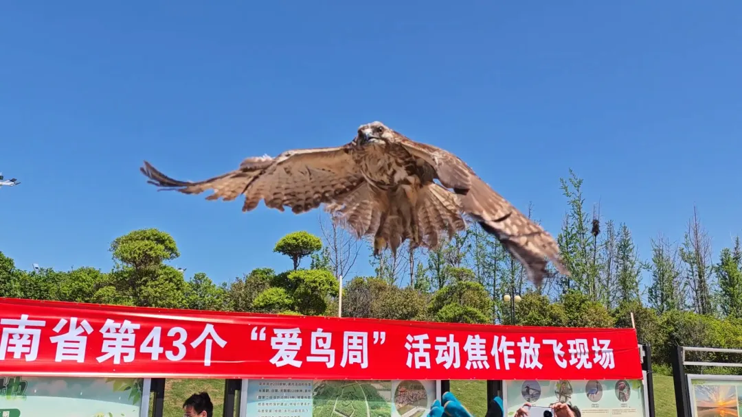 河南省第43届“爱鸟周”宣传活动启动