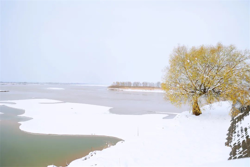 雪在黃河邊落成一幅畫