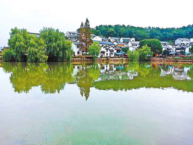 探寻乡村振兴的实践密码——河南省赴沪浙考察乡村振兴侧记