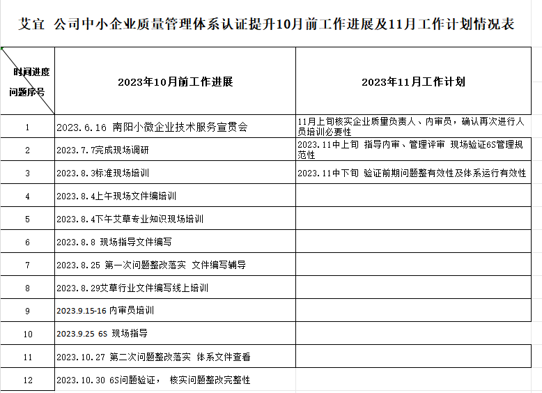 南阳艾宜艾业科技有限公司质量认证提升10月工作进展及11月工作计划情况表