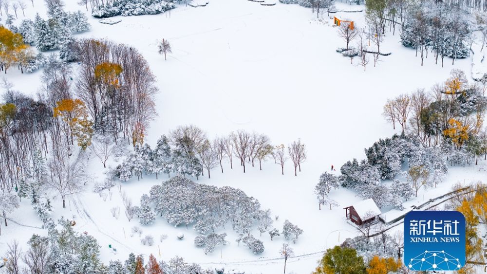 云赏商都绝美雪霁图