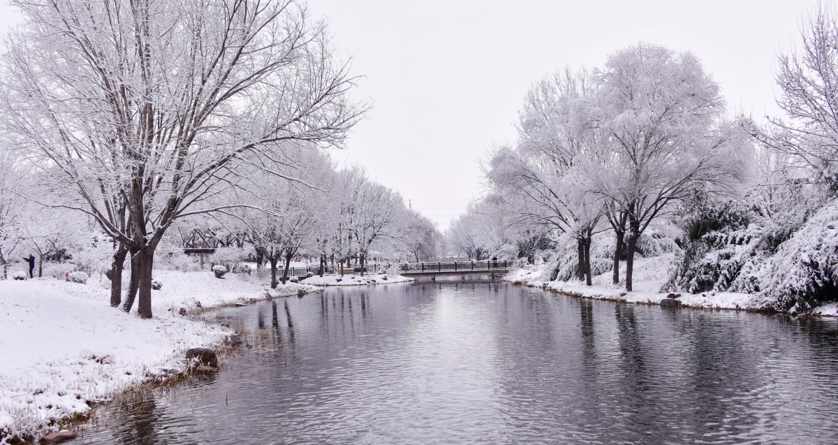鹤壁：大地披银装，雪后画意浓