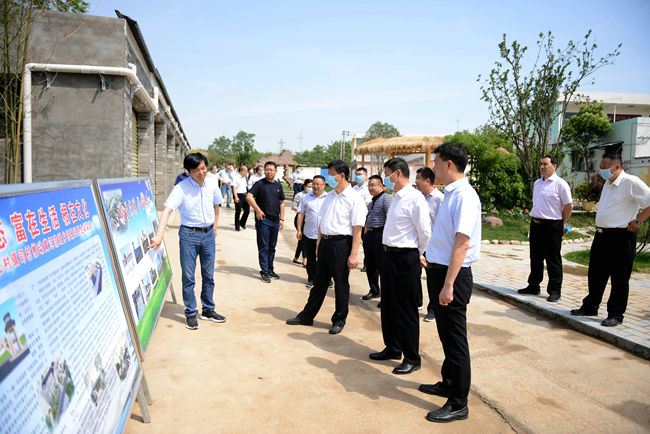 我厅与省司法厅联合开展《河南省乡村振兴促进条例》立法调研