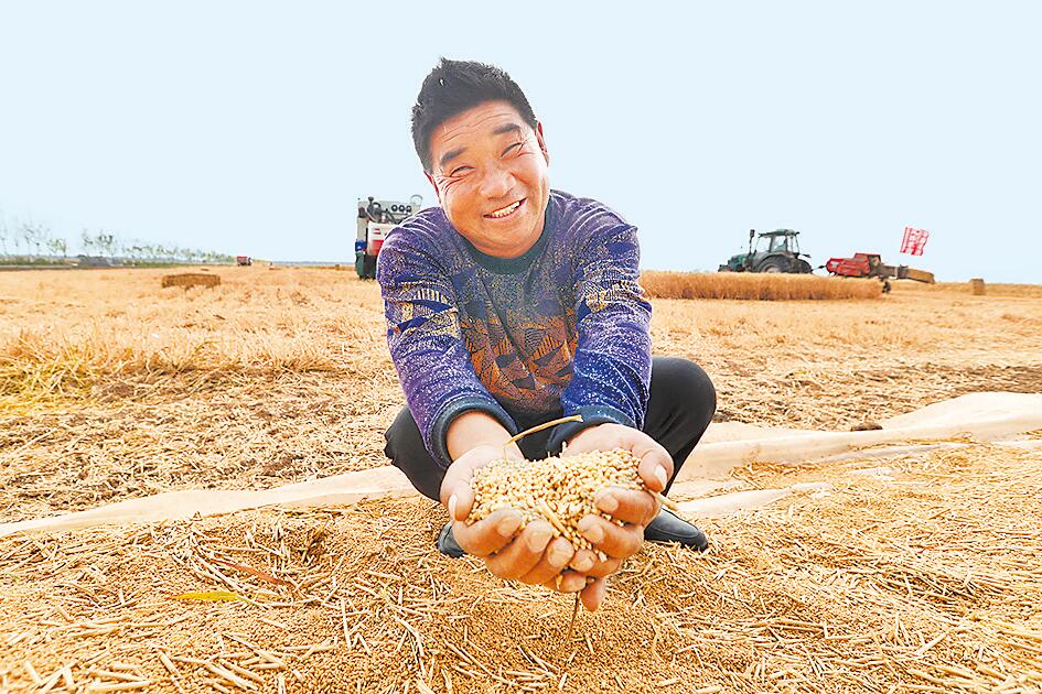 奋战三夏 力夺丰收：在田野里自在飞翔