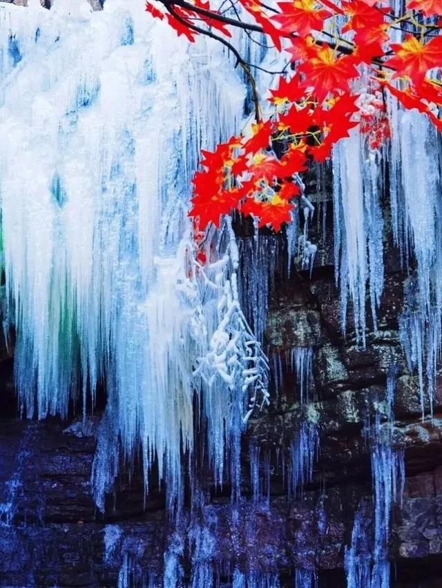 行走河南·读懂中国丨九峰山景区将于12月10日恢复开园