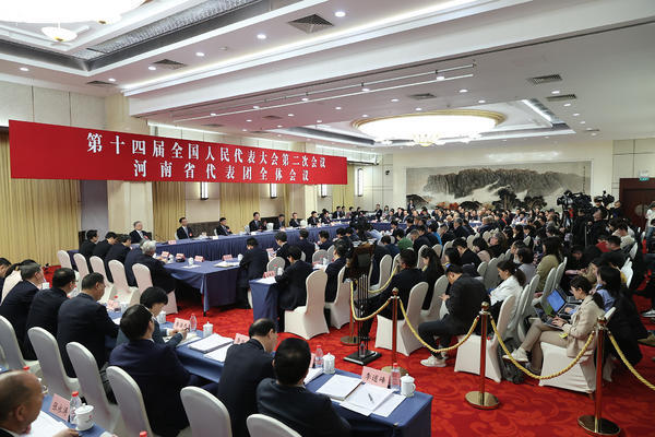 Henan delegation of 14th National People's Congress interviewed by domestic and foreign media