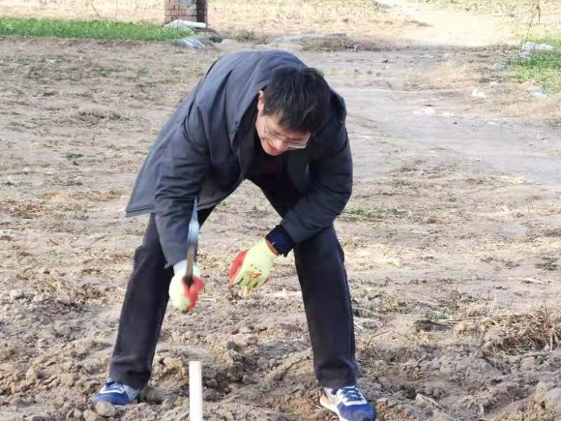 黄河流域林木育种创新中心项目开展土地确权定界工作