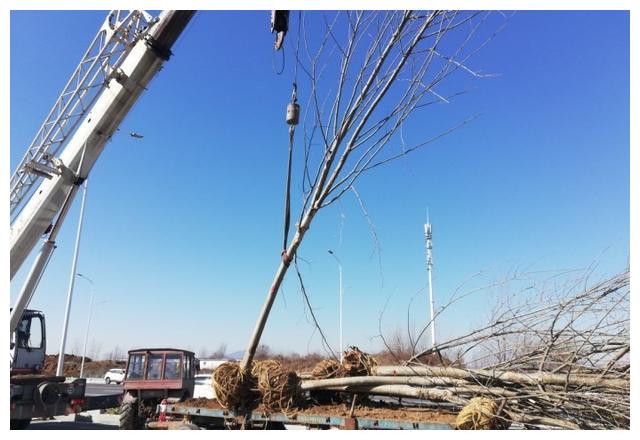 【典型案例】没签协议租土地  这事解决很给力