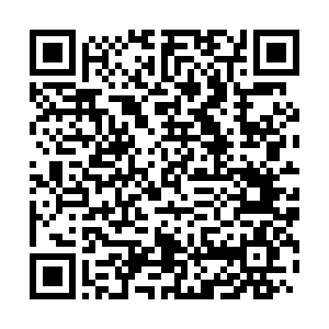 河南省营业性演出准予许可决定（410000522023000229）