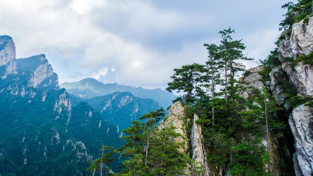 行走河南·读懂中国丨老界岭对全国女士免门票