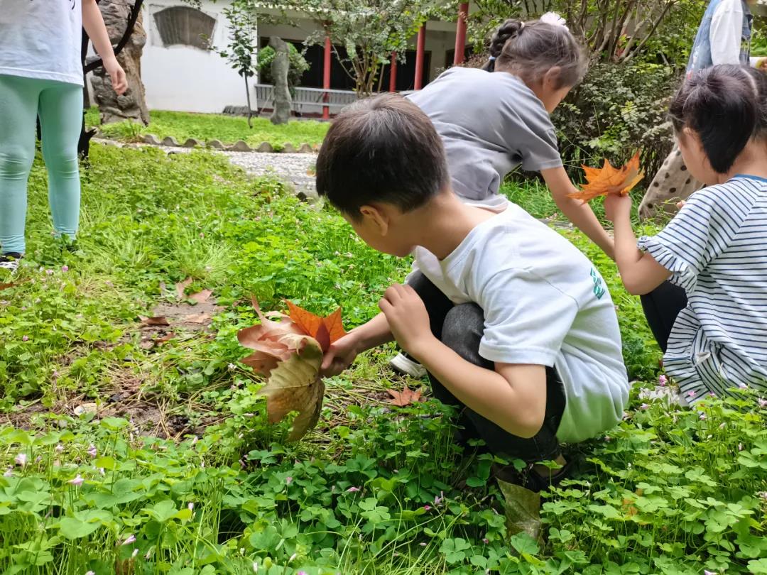 致敬劳动，礼赞丰收