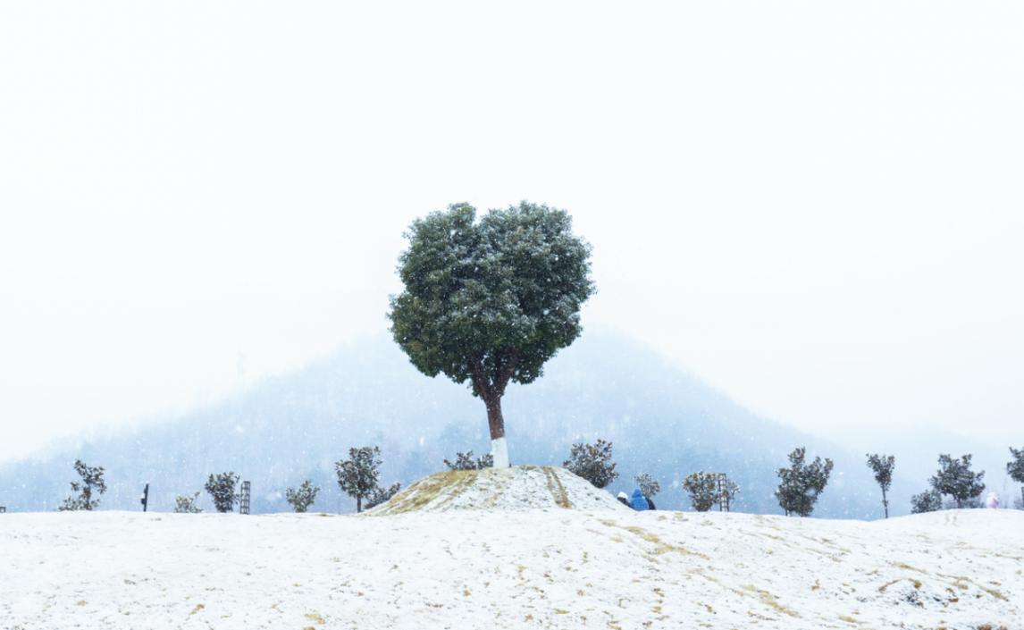 雪中校园