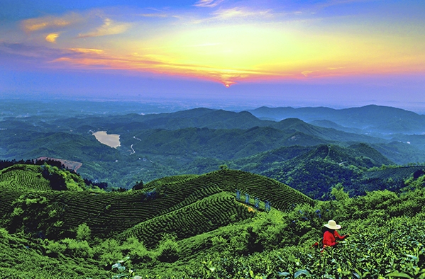 河南省休闲农业与乡村旅游路线推介