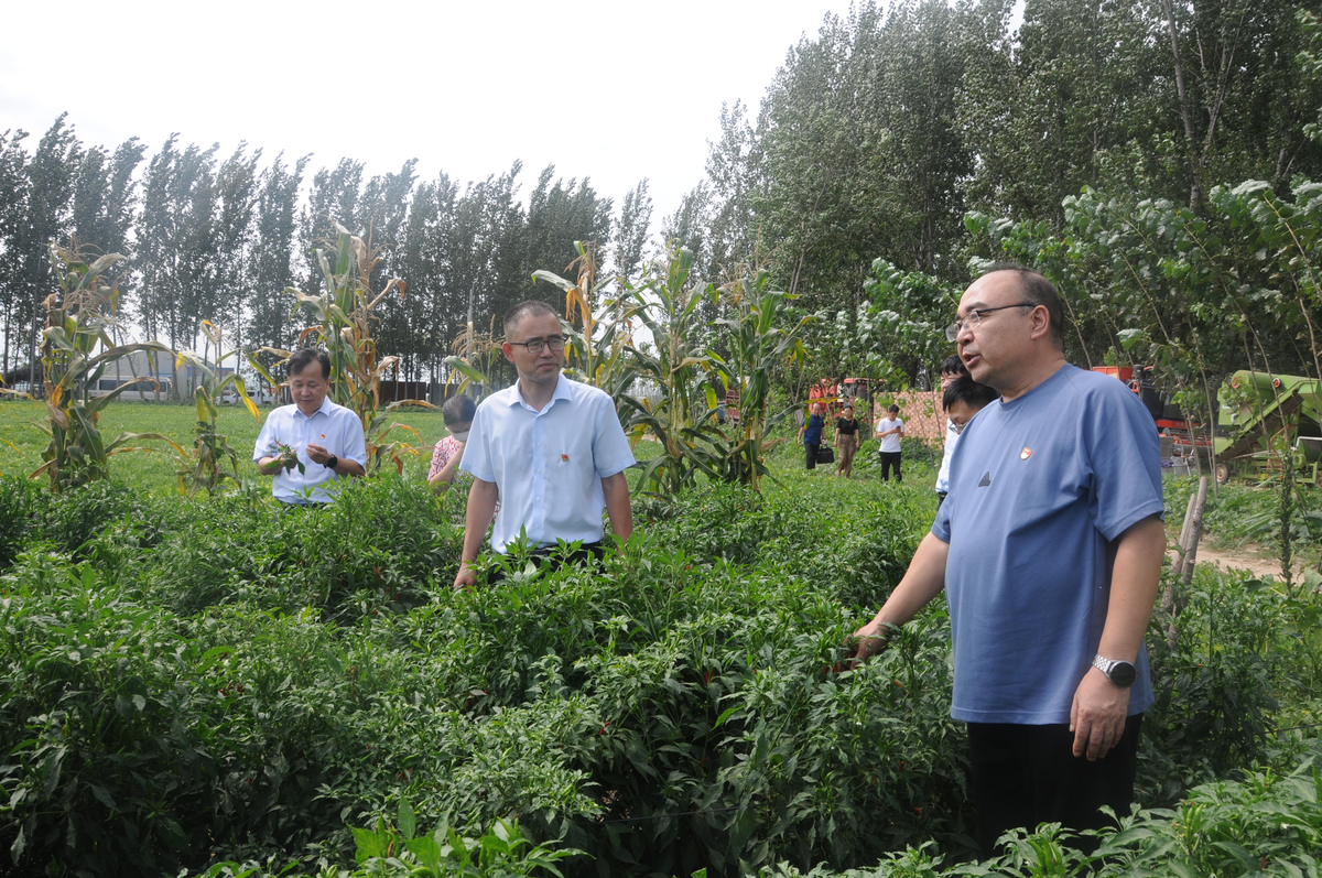 省教育厅高教处党支部联合河南中医药大学教务部党支部到尉氏县水黄村开展主题党日活动