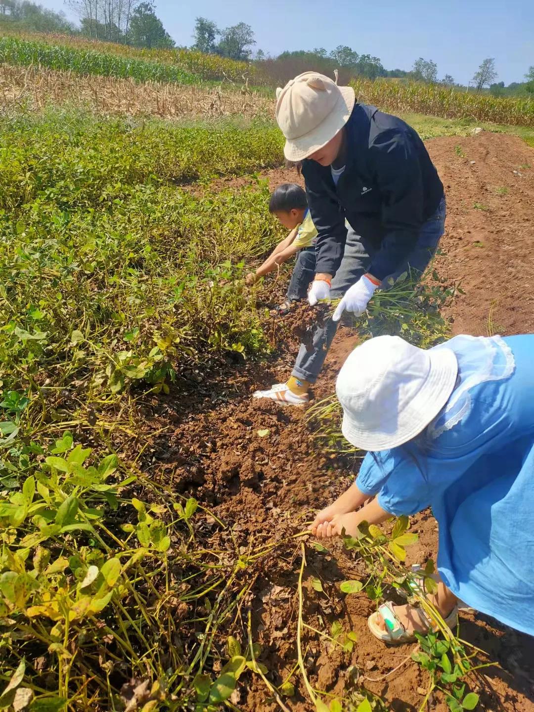 致敬劳动，礼赞丰收