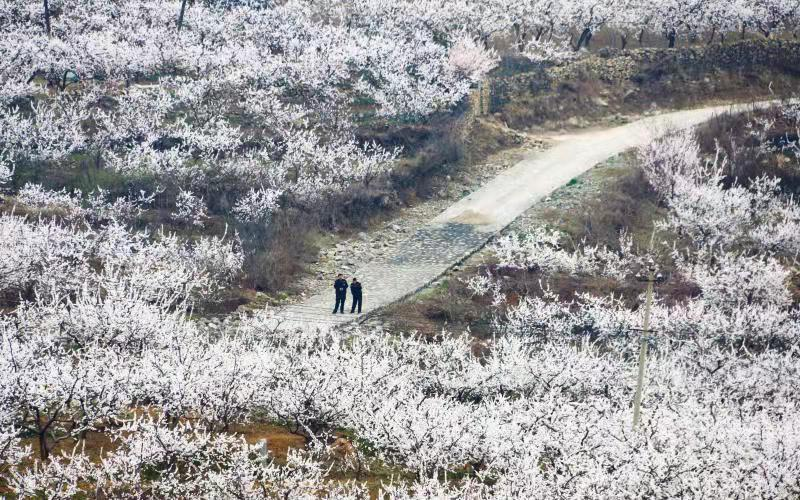 永城芒砀山：文旅融合为乡村振兴蓄势赋能