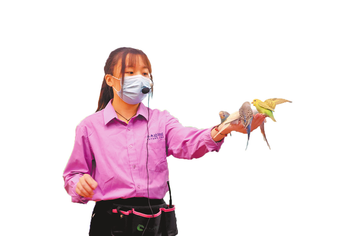 微度假·小轻新