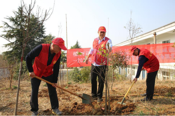 信阳市审计局开展“植树造林美化山水茶都  助力创建国际花园城市”植树节主题活动