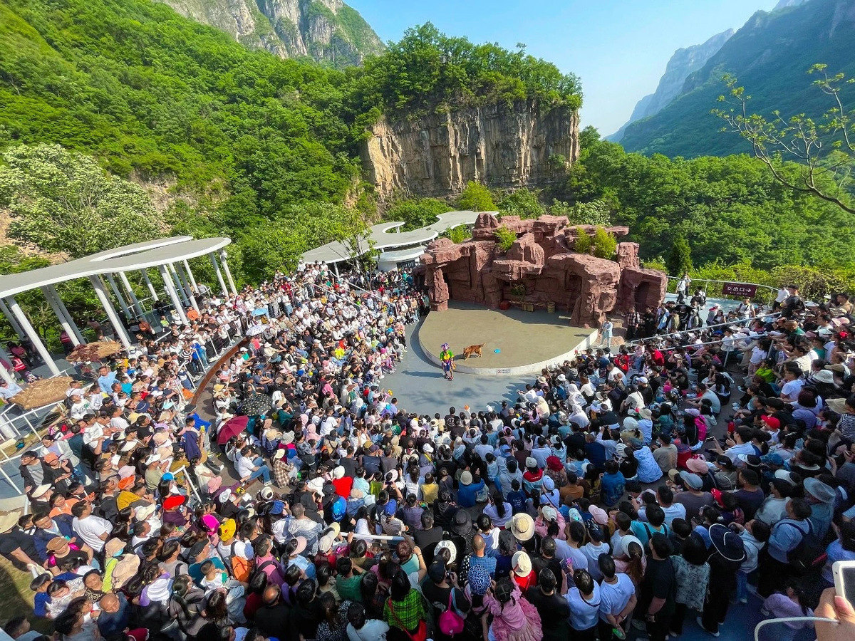 河南文旅战报出炉 五大亮点话“五一”