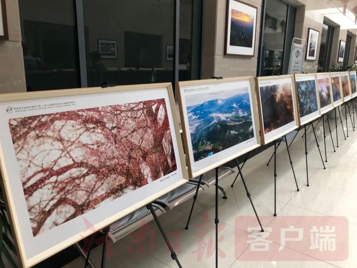 鉴赏名家大作 领略山水之美 鲁山邀你体验一场视觉“盛宴”