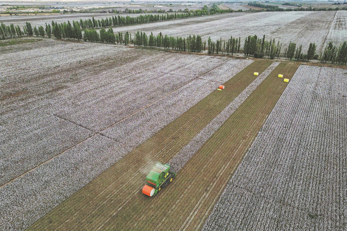 China's 2024 grain output expected to exceed 700m tonnes for 1st time