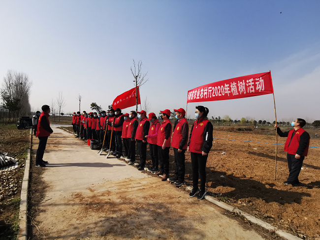 生命在于绿色 希望在于绿色 生命在于绿色 希望在于绿色