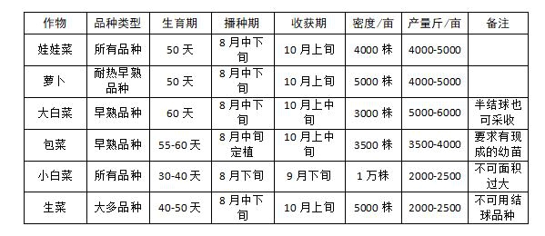 河南：科学补种抢农时 减灾增收解民忧