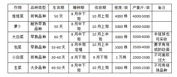 河南：科学补种抢农时 减灾增收解民忧