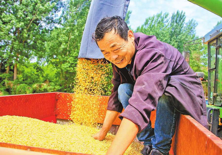 非常之年战三夏