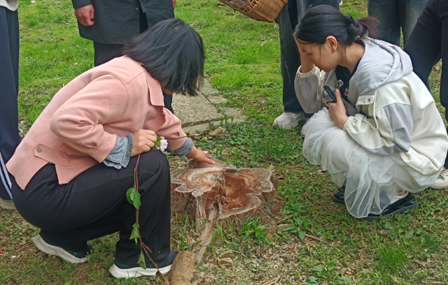 信阳职业技术学院药学院教师党支部开展“春山踏遍草色鲜，采植寻觅草性真”校园药用植物辨识实践活动