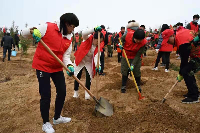 义务植树添新绿  美好家园增春色 ——省扶贫办组织开展义务植树活动