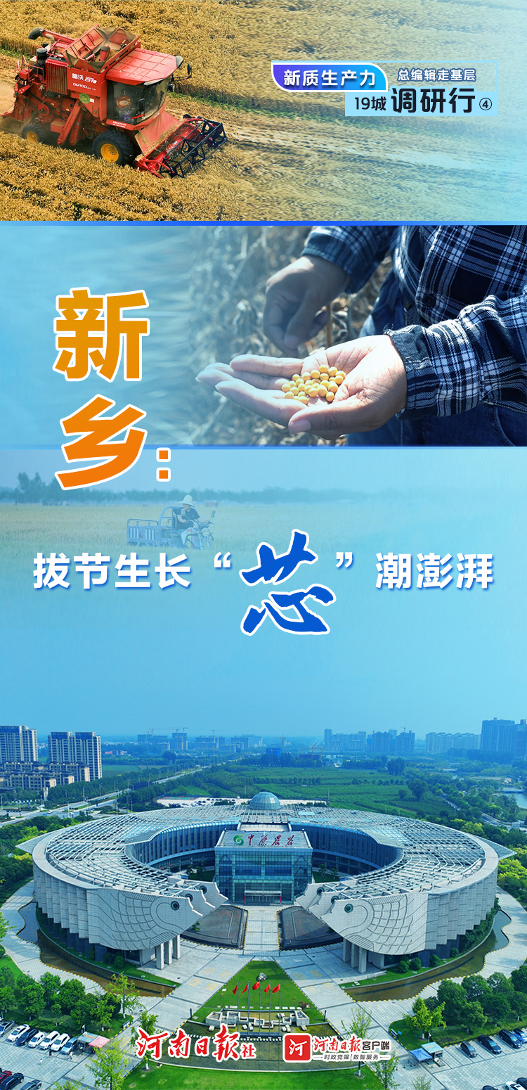 总编辑走基层·新质生产力19城调研行④丨新乡：拔节生长“芯”潮澎湃