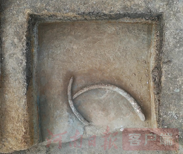 2020年河南考古有啥新发现？<br>“大咖”带你穿越“考古现场”解锁文明密码