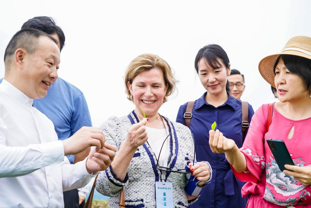 “发现丝路最美茶乡暨60万米高空看大别山开机仪式”在河南信阳浉河区启动