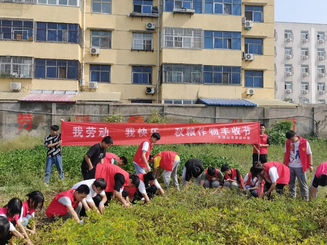 致敬劳动，礼赞丰收