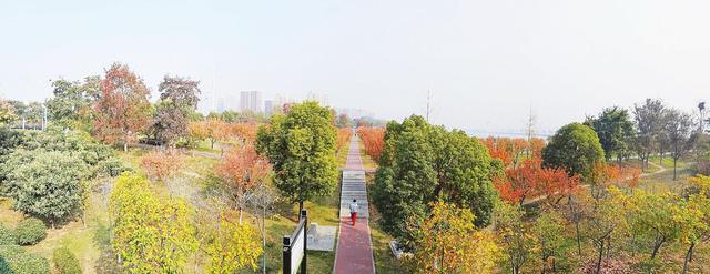 【行走河南·读懂中国】南阳：一座绿意流淌之城
