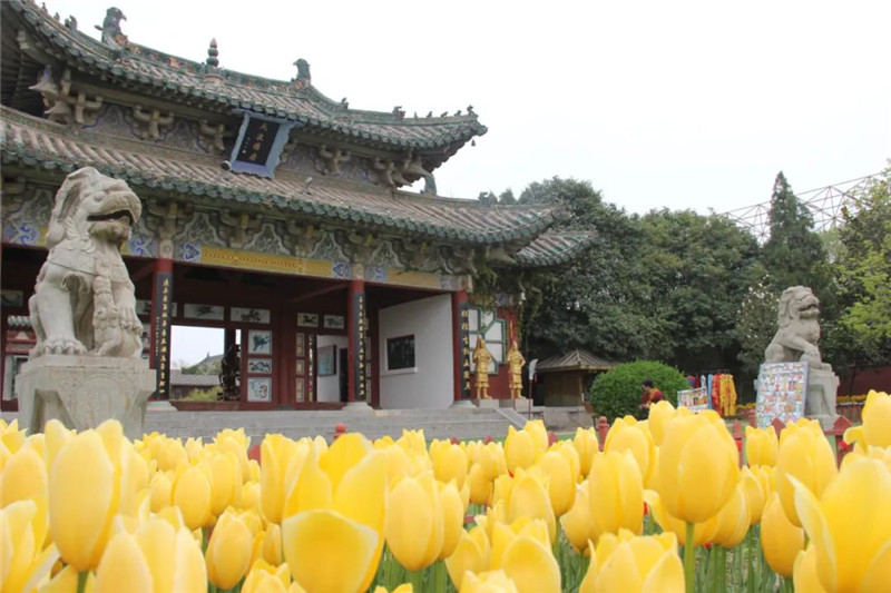 开封：第十四届国际郁金香艺术节正式开幕