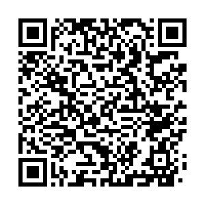 河南省营业性演出准予许可决定（410000522023000149）