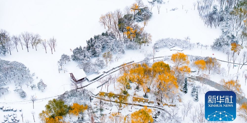 云赏商都绝美雪霁图