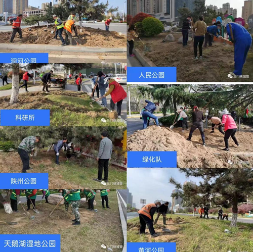 三门峡市城管局抢抓时机  <br>紧锣密鼓开展春季补绿添彩